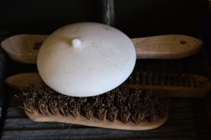 Projekt Pracownie_Ida Karkoszka_wywiad_rzeźba_Robert Liwacki