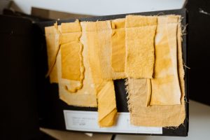 Projekt Pracownie_Dzikie Barwy_wywiad_fot_Radek Zawadzki