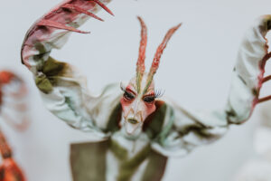 Projekt Pracownie_Kate Rogowska Dolls_wywiad_Małgorzata Herman_fot_Karolina Lewandowska